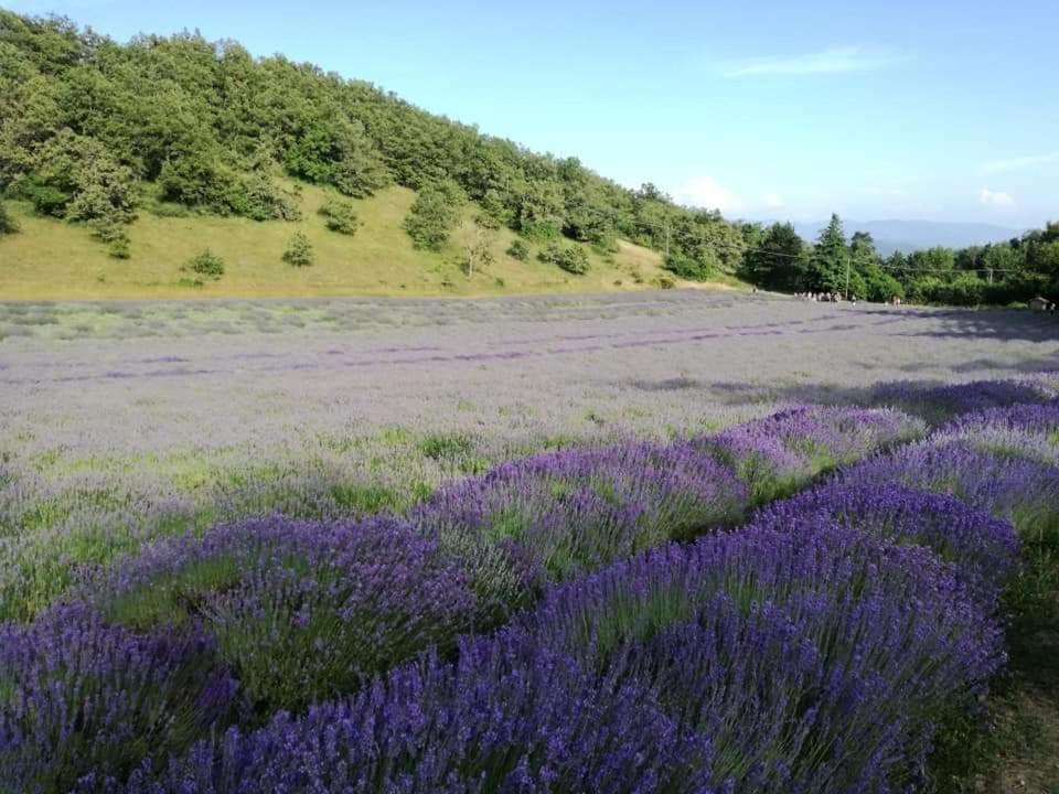 B&B I Girasoli Monte San Pietro Екстер'єр фото