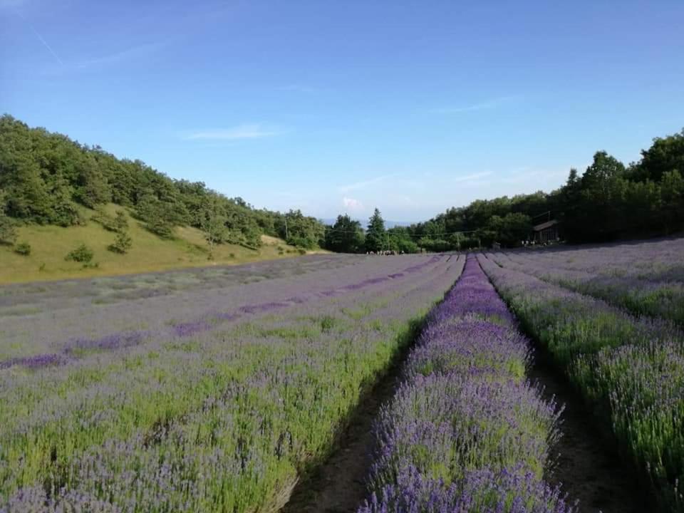 B&B I Girasoli Monte San Pietro Екстер'єр фото